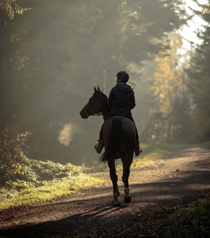 Frau auf ihrem Pferd, reitet alleine im Wald